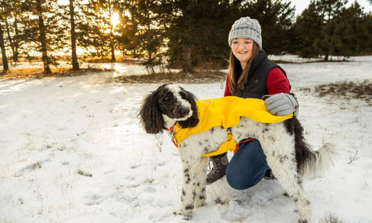Recap: The ororo Pup Walk Challenge 2025 – A Journey with Our Dog Parents!
