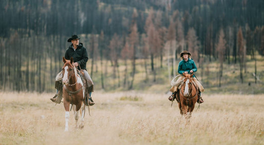 The UK's 5 Best Places to Live with Horses