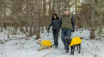 Walk, Win, Wag: Your Guide to the ororo Pup Walk Challenge