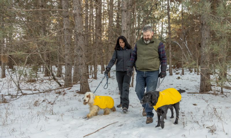 Walk, Win, Wag: Your Guide to the ororo Pup Walk Challenge